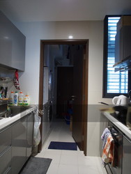 The Suites At Central (D9), Condominium #207273441